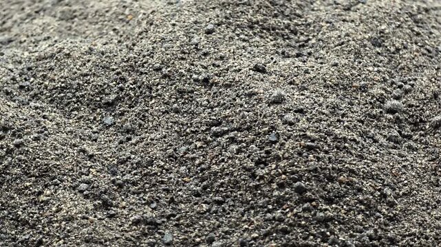 Ground black cumin seeds. Organic herbal medicine, healthy food ingredient. Extreme close-up