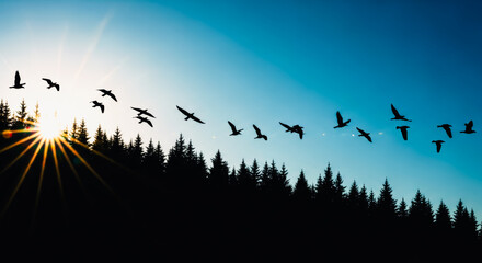 A captivating silhouette of a flock of birds takes flight, soaring gracefully against a vibrant gradient sky at sunset, painting a tranquil and serene scene.