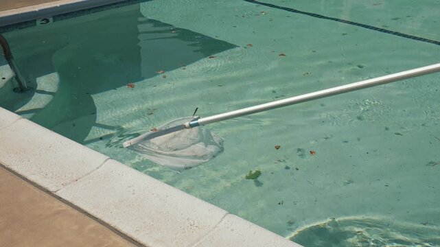 Skimmer net cleaning pool from debris near stairs on sunny day