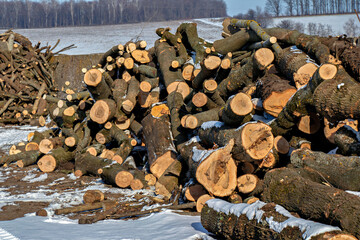 A pile of logs sitting on top of a snow covered field