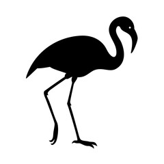 Fototapeta premium Exploring the Graceful Elegance of the Majestic Stork Bird exploring the graceful elegance of majestic stork bird