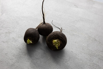 Close up of  winter black radishes roots gray surface homegrown food