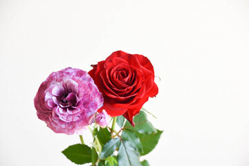 Fototapeta premium 薔薇とラナンキュラス