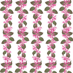 Seamless pattern Chinese Fringe Flower