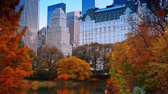 Amazing bright colors of nature in autumn. Colorful trees in the Central Park at daytime. Manhattan high-rises at backdrop.