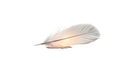 Obraz premium White feather glowing illuminated dark ethereal In Transparent Background