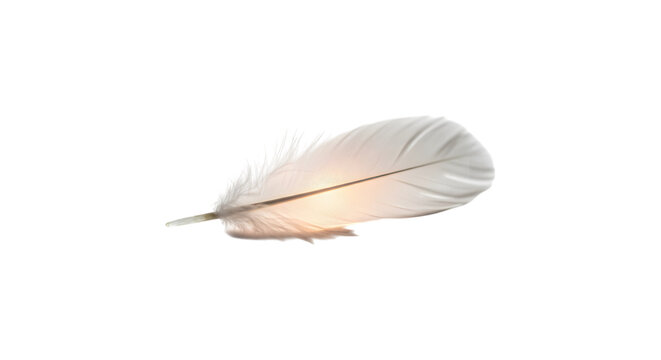 White feather glowing illuminated dark ethereal background - Powered by Adobe
