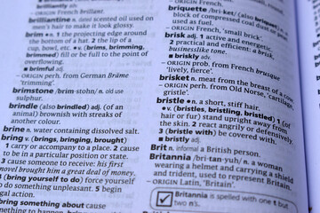 Obraz premium Definition Of English Dictionary Close Up Of Page With Word - brisket