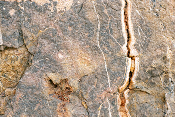 A close-up view of a stone surface reveals intricate textures and natural colors. The rock displays a mix of hard minerals and a prominent crack, highlighting geological processes