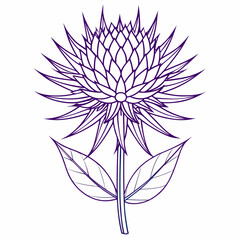 line art echinops flower 