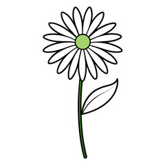 minimal erigeron canadensis line art flower