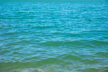 Obraz premium Turquoise waves ripple softly in a serene ocean, reflecting sunlight on a clear day. The tranquil water invites relaxation and enjoyment of the beautiful coastal scenery