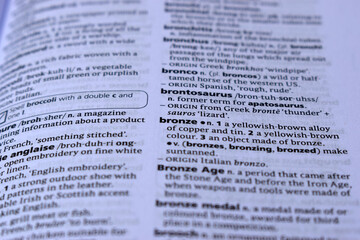 Close Up Of English Definition Dictionary Page Word Of - bronze