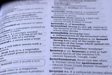 English Dictionary Page Close Up With The Word Of -bronchitis