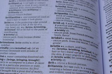 English Dictionary Page Close Up With The Word Meaning Of -briskly