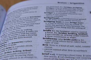 Close Up Of English Definition Dictionary Page Word Of - bridle
