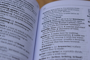 Obraz premium English Dictionary Page Close Up With The Word Meaning Of -brevity