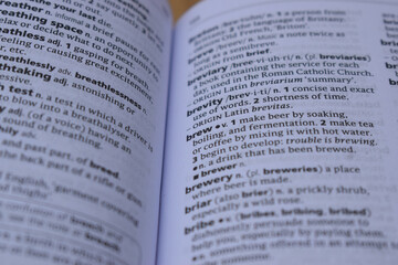 Obraz premium Definition Of English Dictionary Close Up Of Page With Word - brew