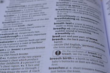 Close Up Of English Definition Dictionary Page Word Of - breech