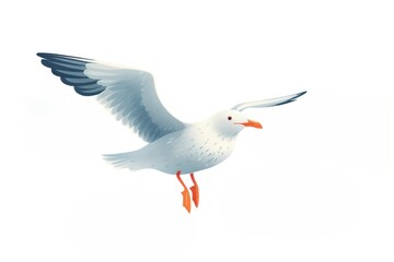 Fototapeta premium Seagull flying animal white bird.