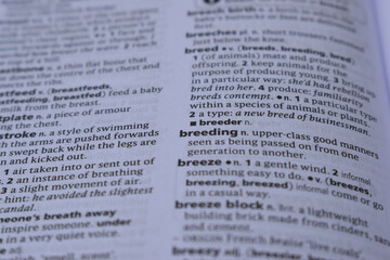 English Dictionary Page Close Up With The Word Meaning Of -breeding