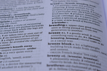 Definition Of English Dictionary Close Up Of Page With Word - breeding