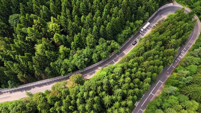 Twisting mountain road through dense conifer forest. Cars follow sharp mountain turns surrounded by tall green conifers.
