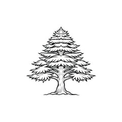 Simple cedar tree outline illustration on white background