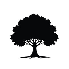 Majestic oak tree silhouette isolated on white background