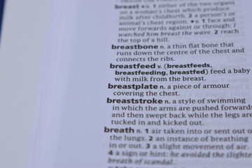Definition Of English Dictionary Close Up Of Page With Word - breastfeed