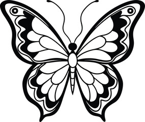 Butterfly outline drawing with detailed wing patterns vector