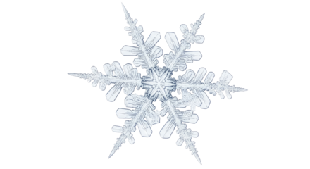 Close-up macro photograph of a perfectly formed, intricate six-pointed ice crystal snowflake against a pure white background.