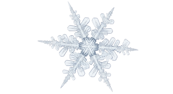 Close-up macro photograph of a perfectly formed, intricate six-pointed ice crystal snowflake against a pure white background.