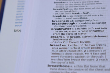 Obraz premium Definition Of English Dictionary Close Up Of Page With Word - bream