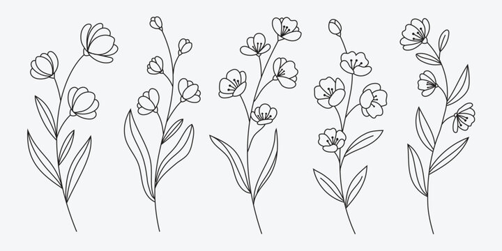 Botanical Monoline Wildflower Vector Illustrations. Wedding Invitation and Logo Design Elements.