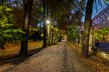 Fototapeta premium Evening view of park alley illuminated with string lights, creating a magical atmosphere for holidays and celebrations, an autumn night scene.
