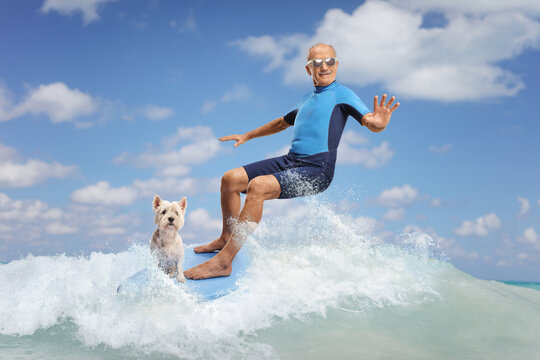 Elderly man in a wetsuit riding a surfboard with a dog