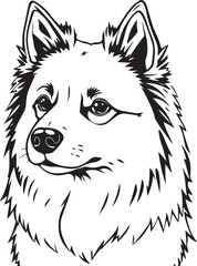 Naklejka premium Malamute Dog Portrait Breed Hand-drawn Sketch Drawing Vector Illustration, Line Linear Symbol Engraving Coloring Book, Black and White Isolated