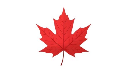 Fototapeta premium Red maple leaf isolated on a clean white background, featuring crisp details and a simple botanical illustration style suitable for autumn or Canada-themed designs.