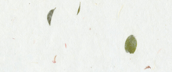 White handmade paper with visible natural fibers and green leaf inclusions. Organic craft texture...