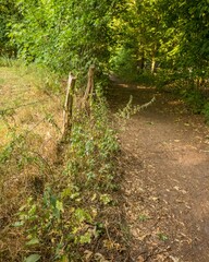 Old wooden fence with barbed wire separating grass field and forest path
