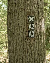 Hiking trail markers guide travelers through lush forest