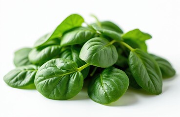 Fototapeta premium Fresh green baby spinach leaves on white background. Close up of healthy leafy vegetable. Pile of organic spinach for salad cooking. Green food rich in vitamins, nutrients. Freshness, healthy eating