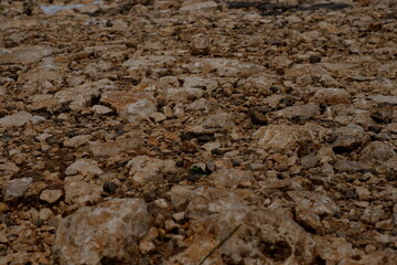 Rough Stony Ground Detail Texture Background Landscape