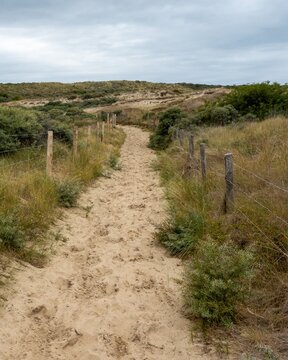 Sandy path winding through dunes in wassenaar, netherlands