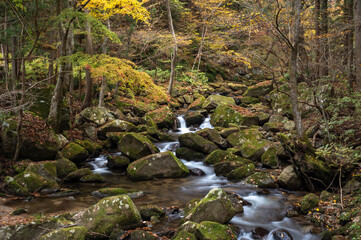 晩秋の滝川渓谷の流れと紅葉