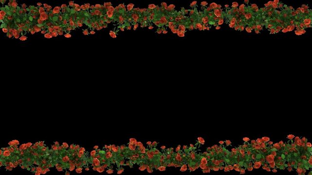 Seamless Horizontal Rose Flower Border Animation Alpha Channel Transparent