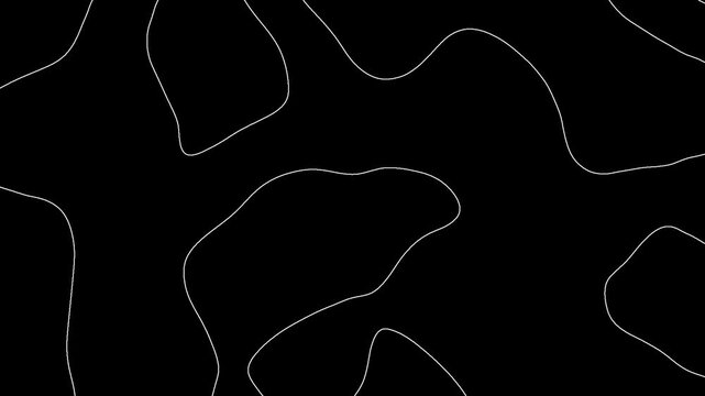 White outline topographic contour map abstract tech motion graphic design. Geometric suitable for geography textbooks, topo wavy black and white mountain surface hiking guides, educational websites
