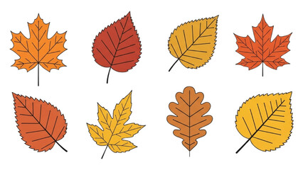 Fototapeta premium Assorted Autumn Leaves Collection - Vibrant Fall Foliage Icon Set