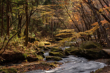 紅葉に染まる福島・矢祭町の滝川渓谷